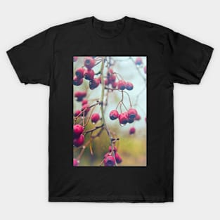 Wet red berries T-Shirt